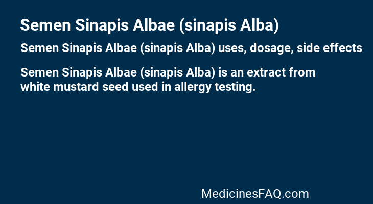 Semen Sinapis Albae (sinapis Alba)