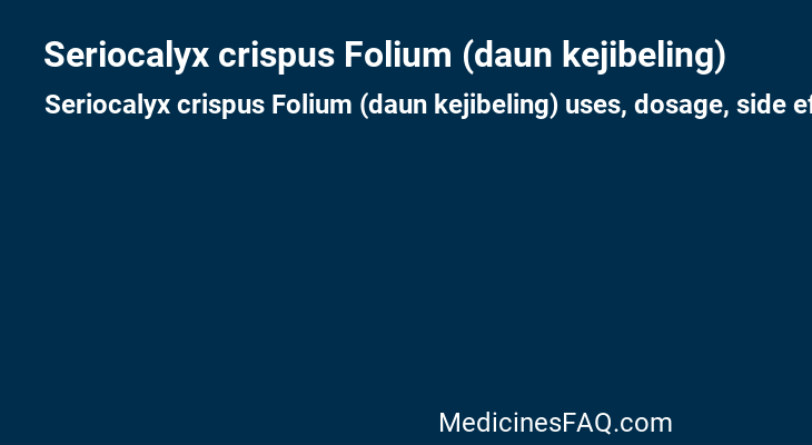 Seriocalyx crispus Folium (daun kejibeling)