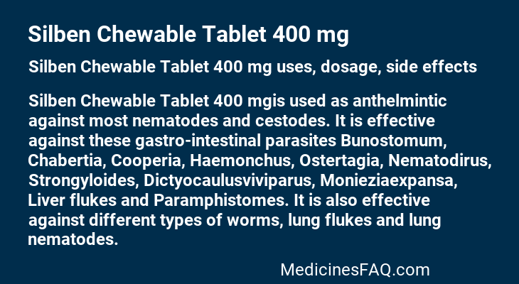 Silben Chewable Tablet 400 mg