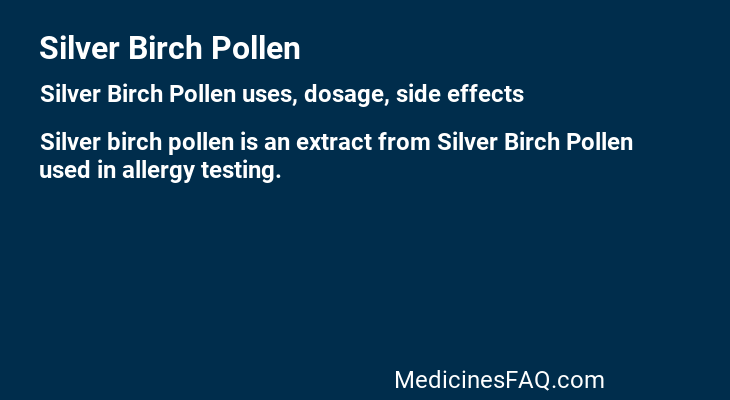 Silver Birch Pollen