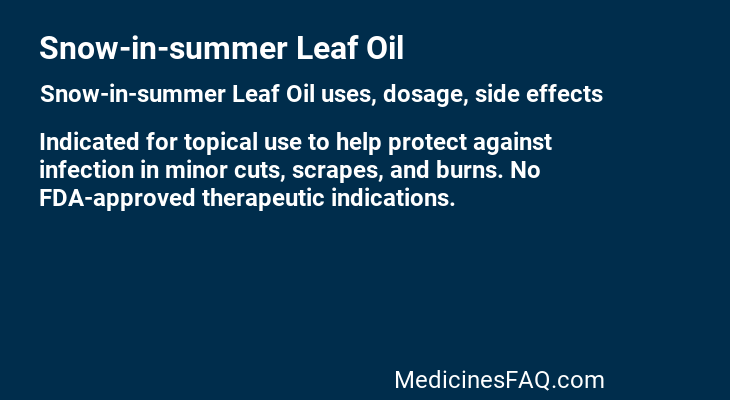 Snow-in-summer Leaf Oil