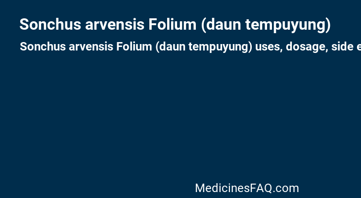Sonchus arvensis Folium (daun tempuyung)