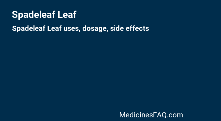 Spadeleaf Leaf