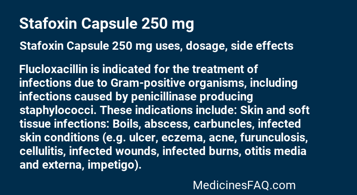Stafoxin Capsule 250 mg