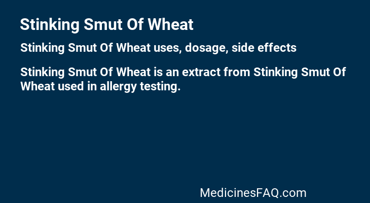 Stinking Smut Of Wheat