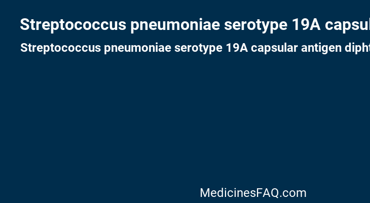 Streptococcus pneumoniae serotype 19A capsular antigen diphtheria CRM197 protein conjugate vaccine