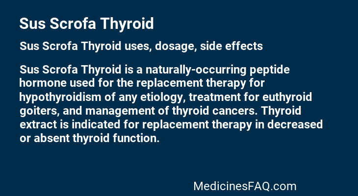Sus Scrofa Thyroid