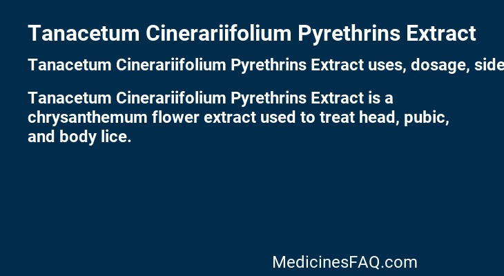 Tanacetum Cinerariifolium Pyrethrins Extract