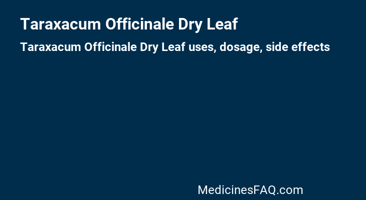 Taraxacum Officinale Dry Leaf