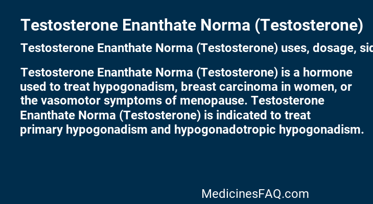 Testosterone Enanthate Norma (Testosterone)