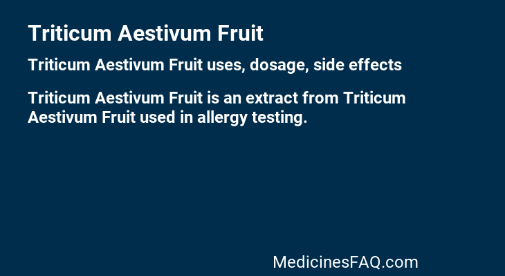 Triticum Aestivum Fruit