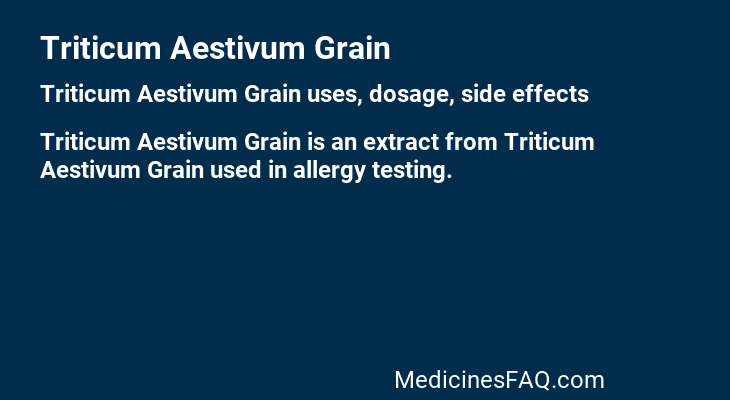 Triticum Aestivum Grain