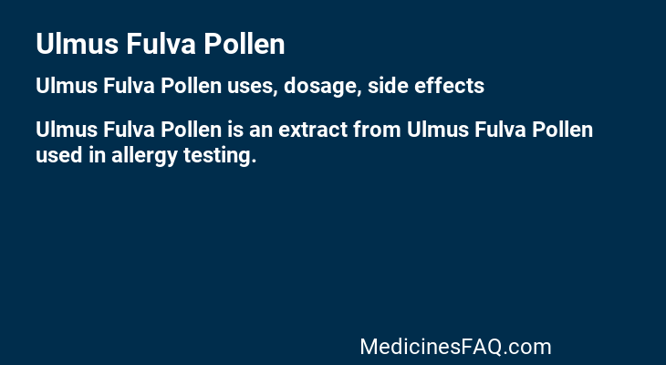 Ulmus Fulva Pollen
