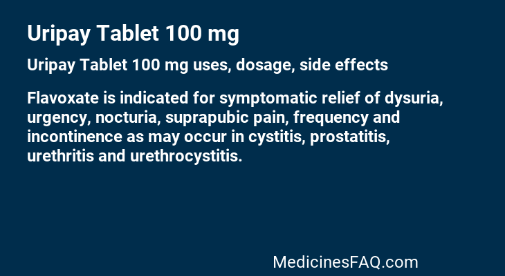 Uripay Tablet 100 mg