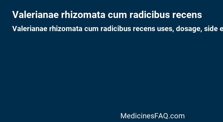 Valerianae rhizomata cum radicibus recens