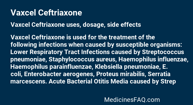 Vaxcel Ceftriaxone