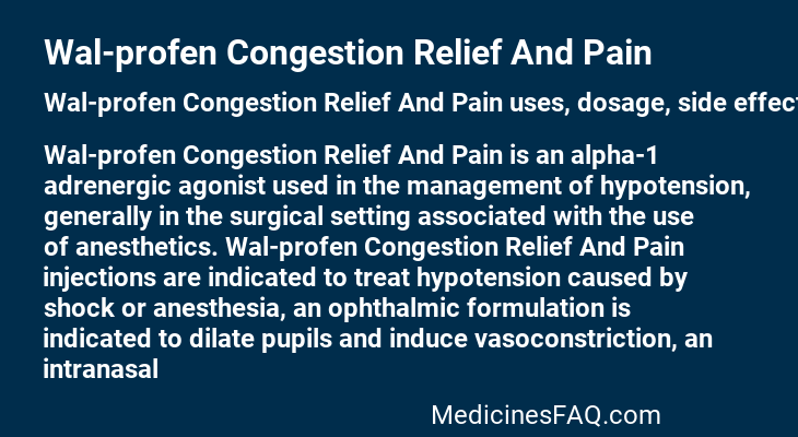 Wal-profen Congestion Relief And Pain