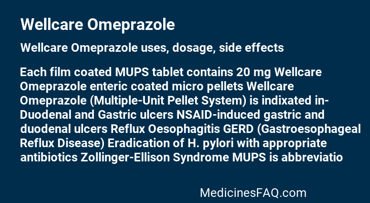 Wellcare Omeprazole
