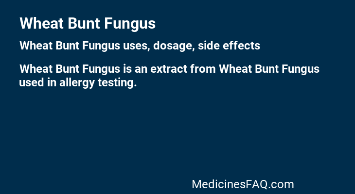Wheat Bunt Fungus