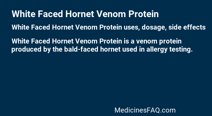 White Faced Hornet Venom Protein