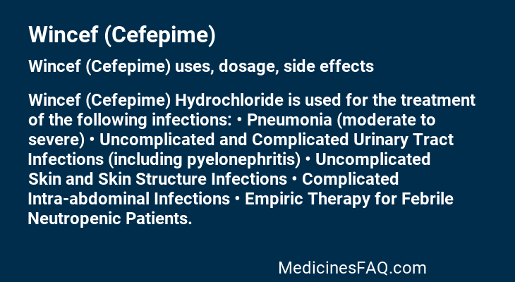 Wincef (Cefepime)