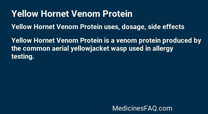 Yellow Hornet Venom Protein
