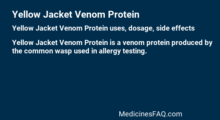 Yellow Jacket Venom Protein